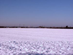 orsett windmill