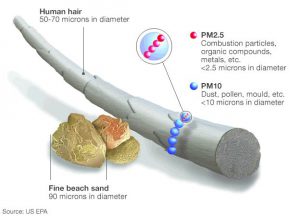 particulate size guide